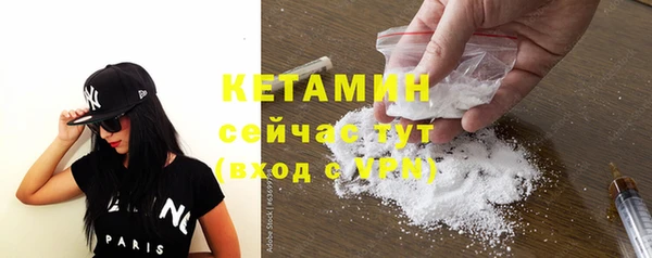spice Богородицк