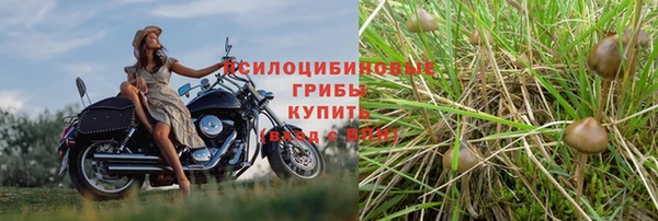 круглые Бронницы