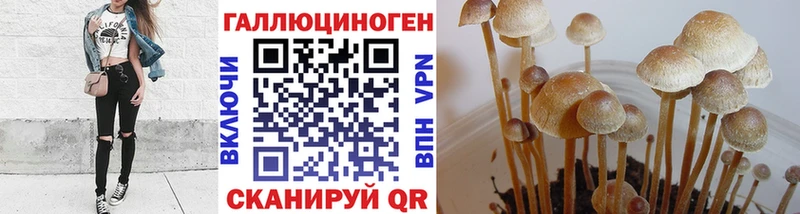 Псилоцибиновые грибы ЛСД  даркнет сайт  Любим 